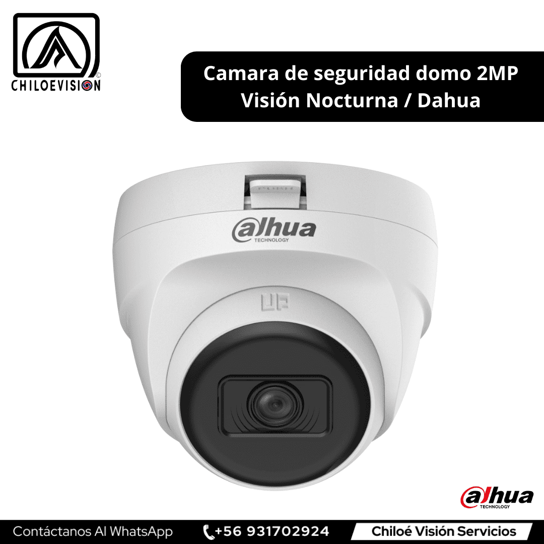 Cámara de Seguridad Domo en Queilen, Chiloé / Dahua