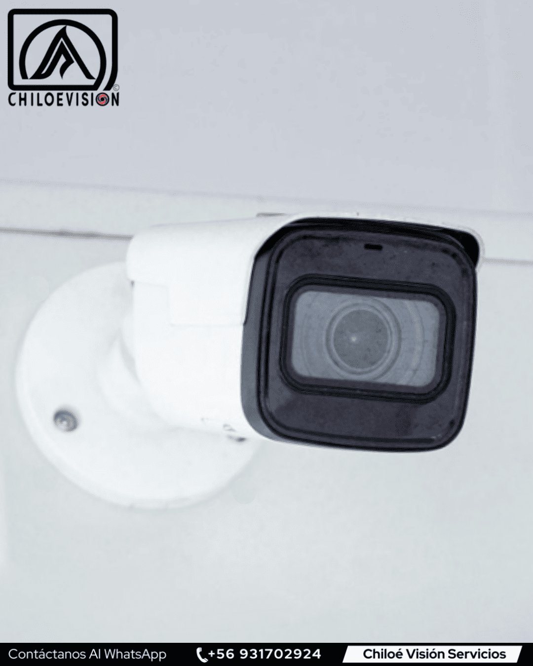 Cámara con Inteligencia Artificial en Chiloé