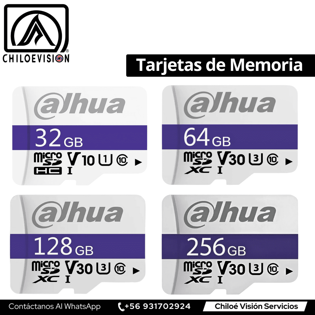 Tarjetas de Memoria en Chiloé